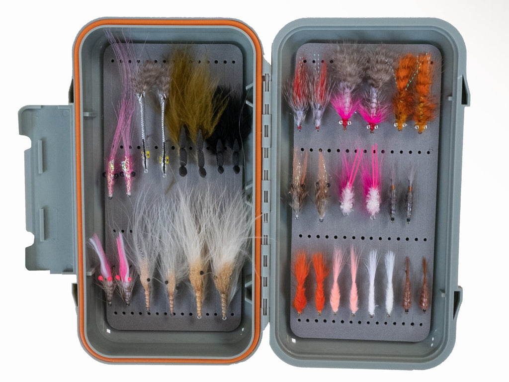 Peitten Fly Boxes For Fly FishingFly Fishing Flies Storage India
