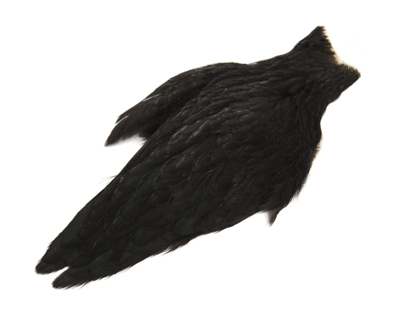 Whiting American Hen Cape_16